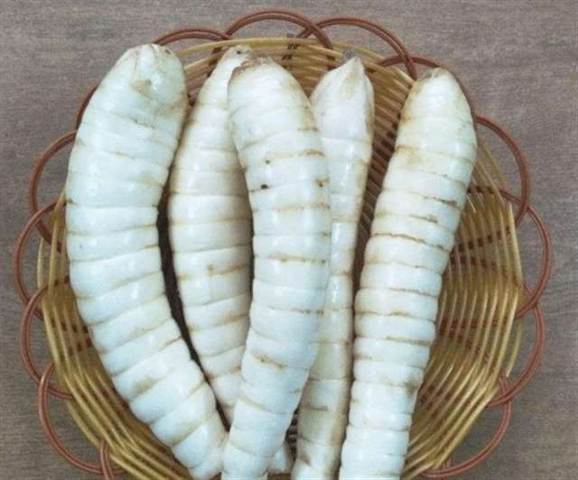  大叔说我奶奶里有虫子 大叔虫子出来了吗