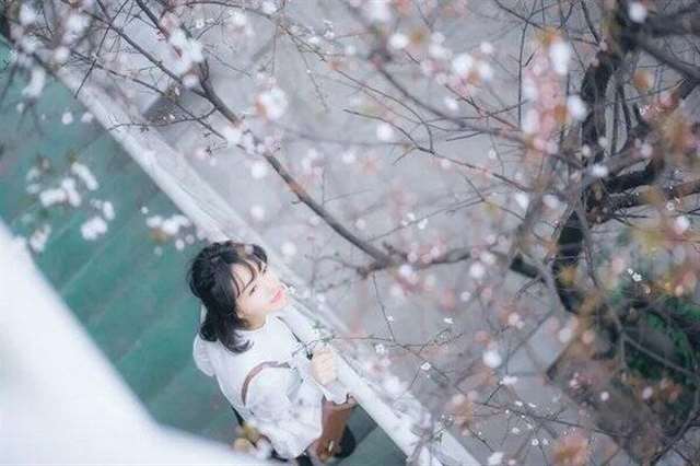  小说里男二的虐心语录 小说中那些意难平的台词