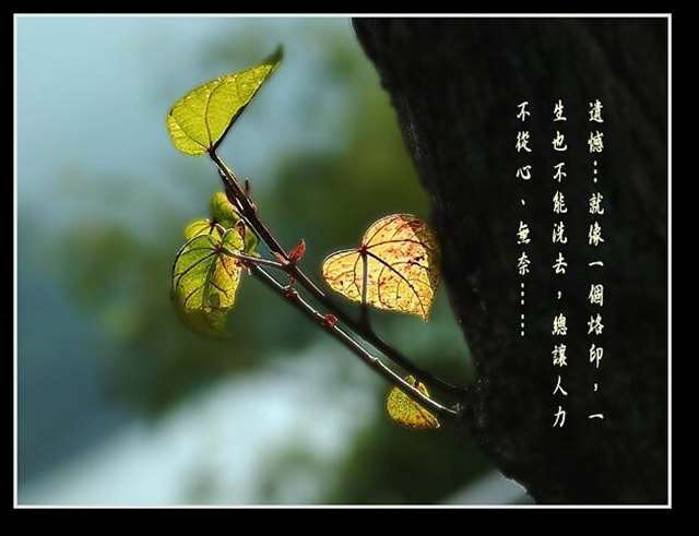  小说里男二的虐心语录 小说中那些意难平的台词