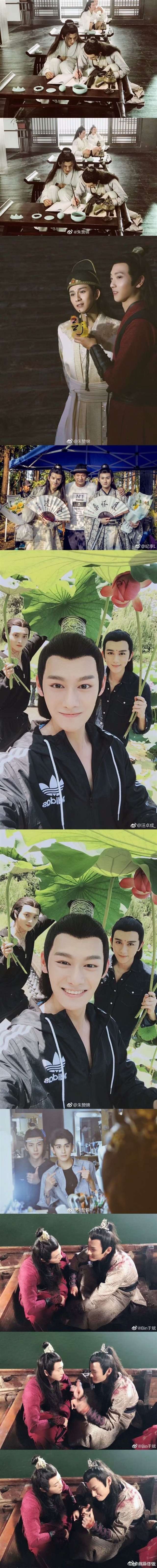 《陈情令》各角色语录合集