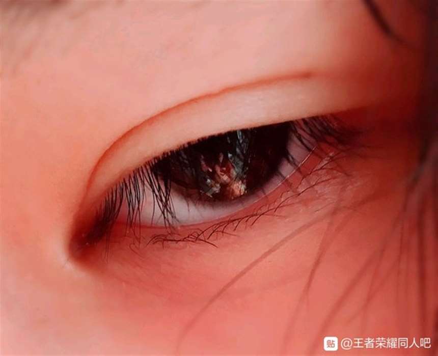 狄明cp/原创/中篇