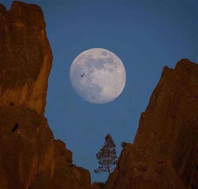 夜深人静适合思考 深夜更适合思考