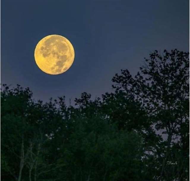 夜深人静适合思考 深夜更适合思考