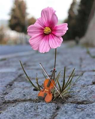 这一刻才是属于自己的时间