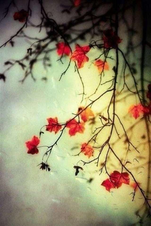 霸气有杀气古风句子 霸气高冷到爆的古风句子