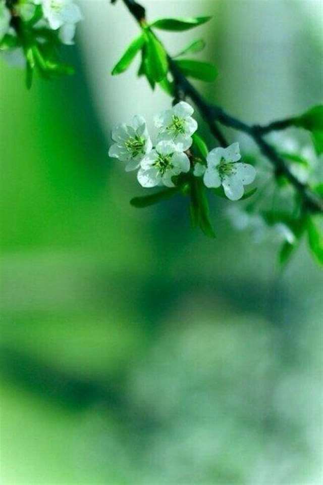 霸气有杀气古风句子 霸气高冷到爆的古风句子