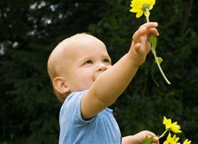 来自纳兰词的好听名字