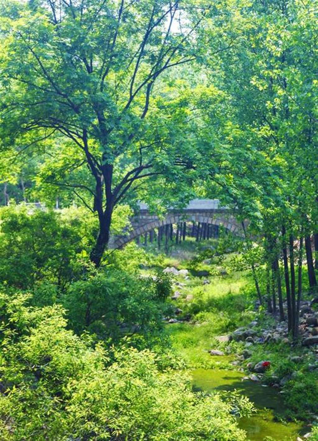 其它 青山绿水看花园 写美篇   花园山的玉兰花开过了,春天还在继续.