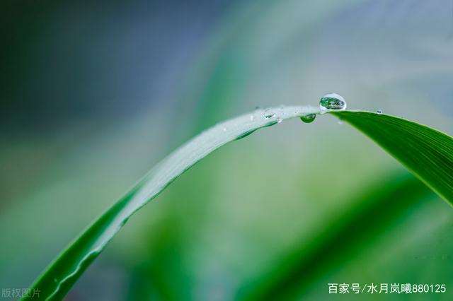 时光清浅处,一步一安然