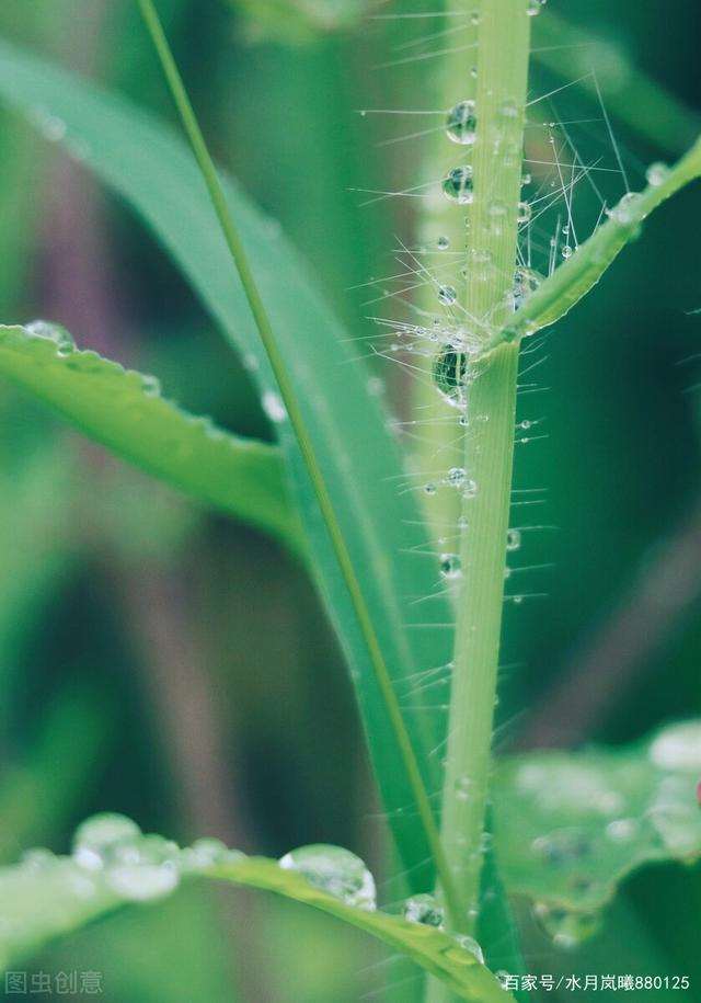 时光清浅处,一步一安然