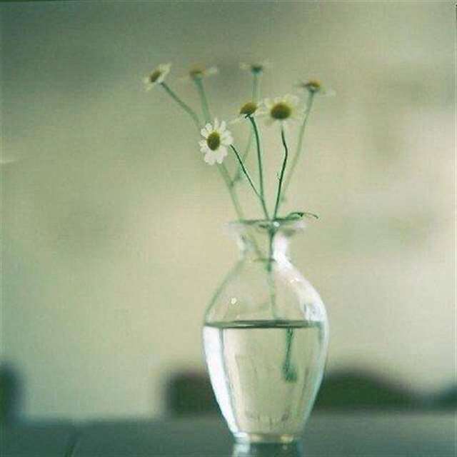  时光带走了岁月的名句 时光飞逝的短句唯美