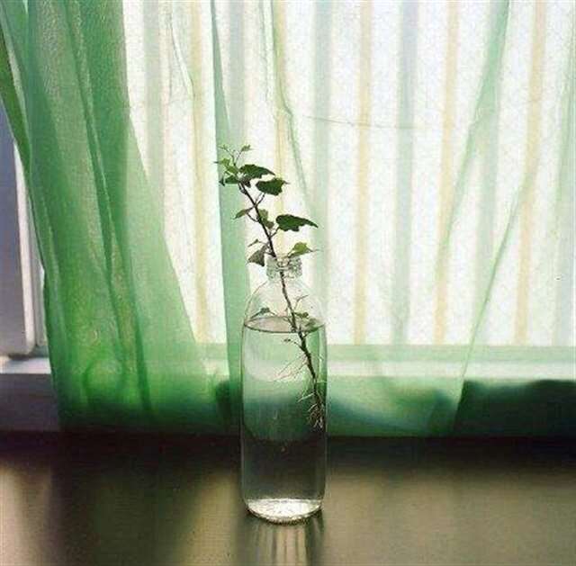  时光带走了岁月的名句 时光飞逝的短句唯美