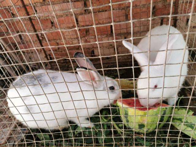 我想握住时光的手