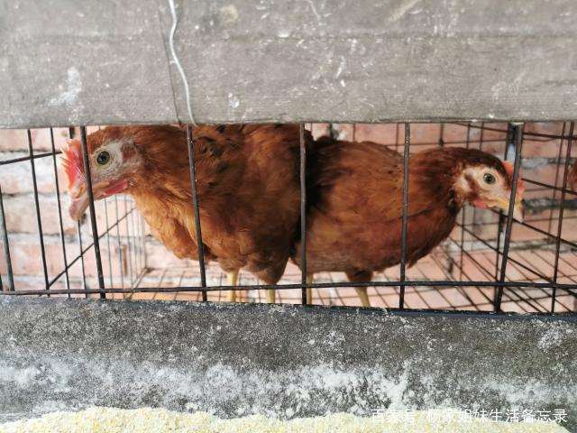 我想握住时光的手