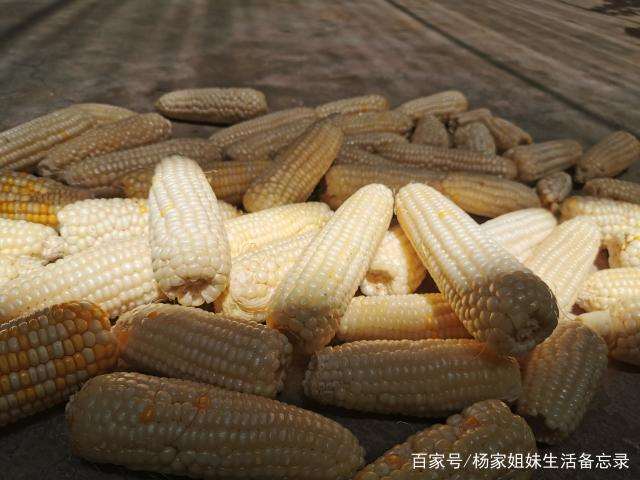 我想握住时光的手