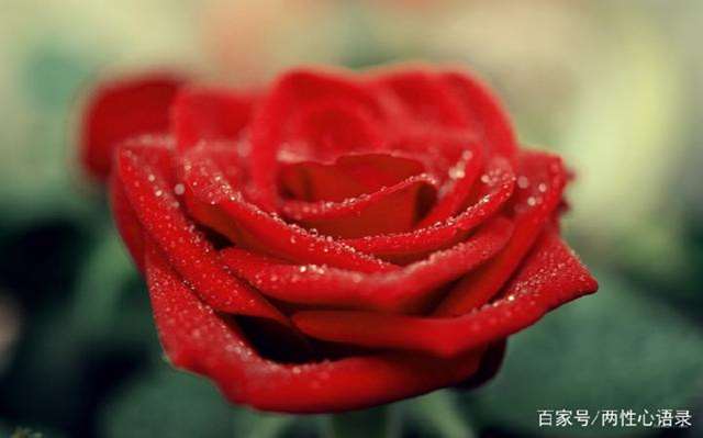 句句现实做人真难 说到容易做到难的句子