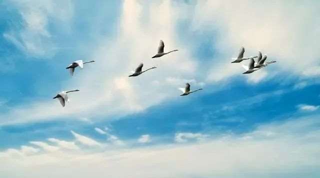 很小众却很惊艳的英文诗 浪漫到哭的英文情诗