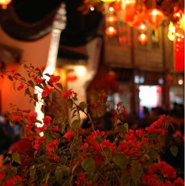 一辈子不离不弃的古诗 相爱不离不弃句子古诗