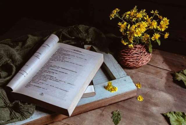 一辈子不离不弃的古诗 相爱不离不弃句子古诗