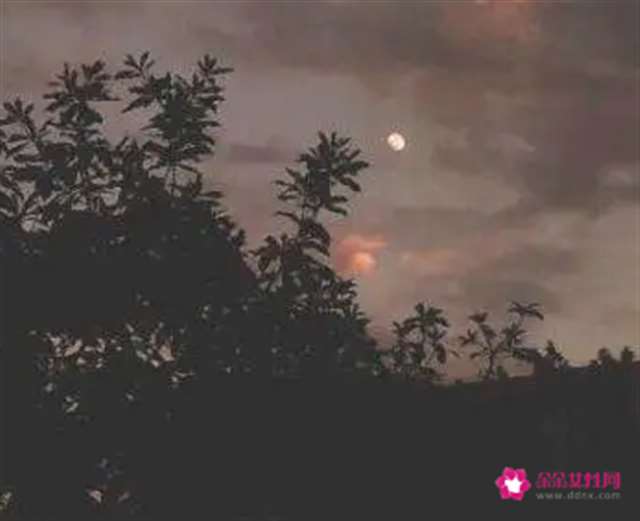 值得摘抄在本子上的宝藏仙句 抄在手账本上的神仙短句