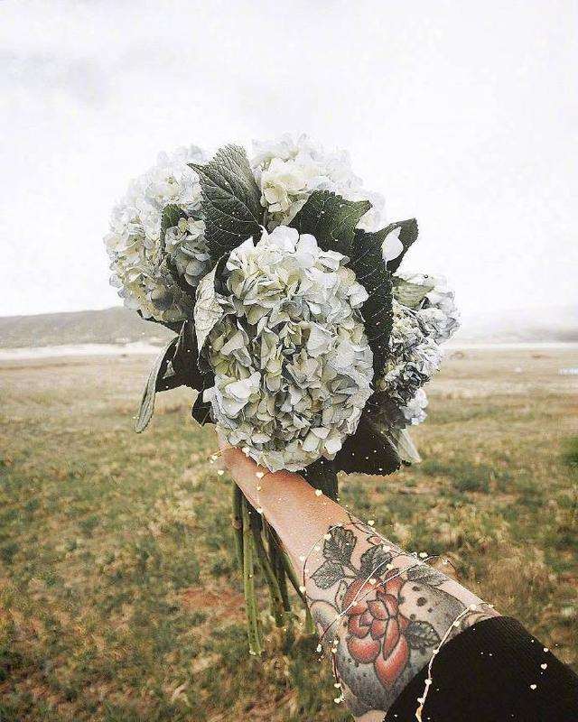 爱情语录浪漫短句 一句话打动人心的爱情