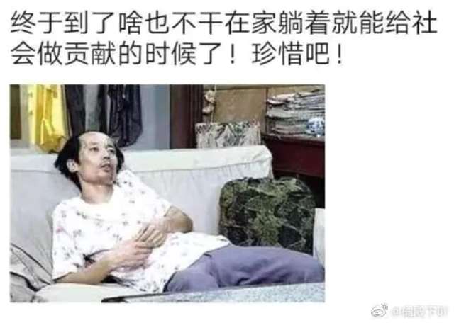 终于知道狗的感觉了 狗狗总是往我裙子里钻