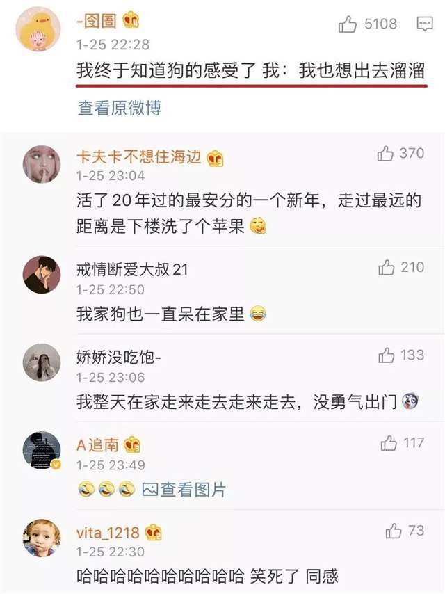 终于知道狗的感觉了 狗狗总是往我裙子里钻