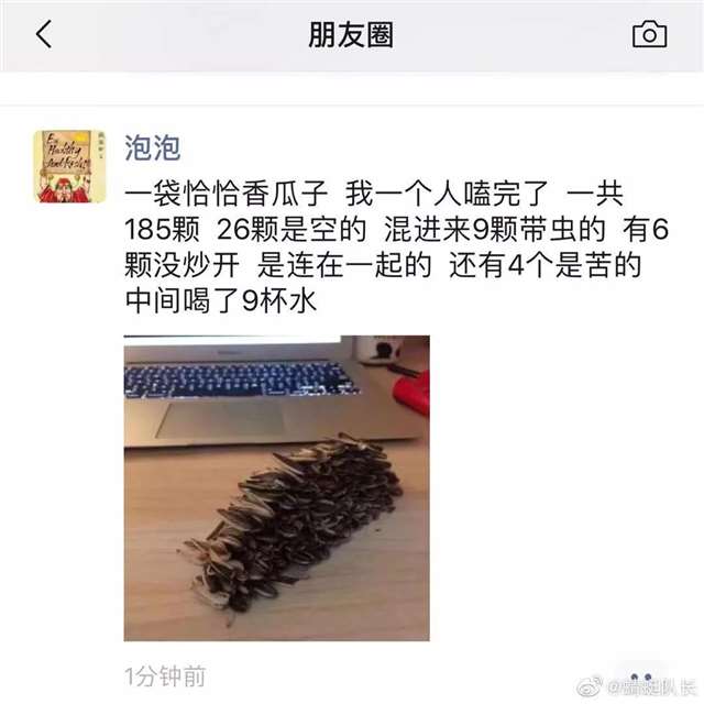 终于知道狗的感觉了 狗狗总是往我裙子里钻
