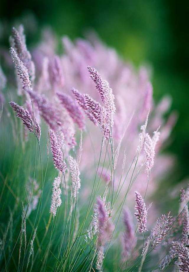 温柔到窒息的古风句子 淡雅唯美古风意境句子