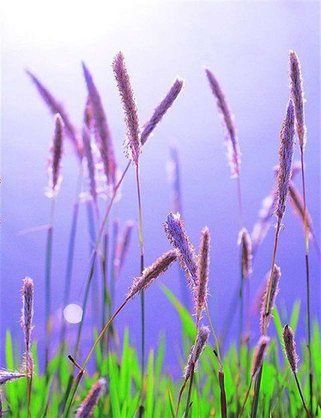 温柔到窒息的古风句子 淡雅唯美古风意境句子