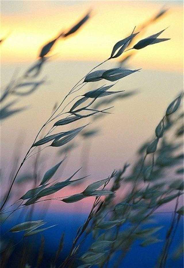 温柔到窒息的古风句子 淡雅唯美古风意境句子