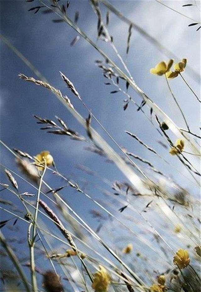 温柔到窒息的古风句子 淡雅唯美古风意境句子