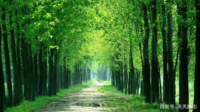 写给最在乎的人句子 默默牵挂一个人的说说