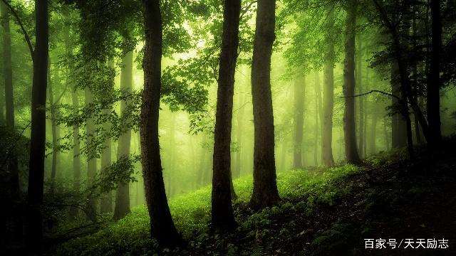 写给最在乎的人句子 默默牵挂一个人的说说