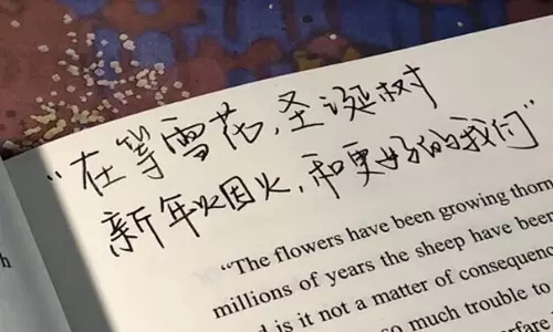 正能量夫妻感情句子 夫妻暖心的句子