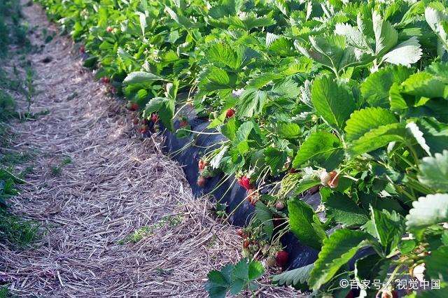 女人看透婚姻的一段话 句句深入人心的经典句子