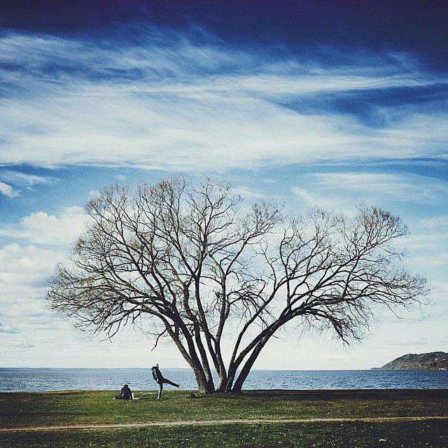 睡前给自己的一句话 睡觉语录经典