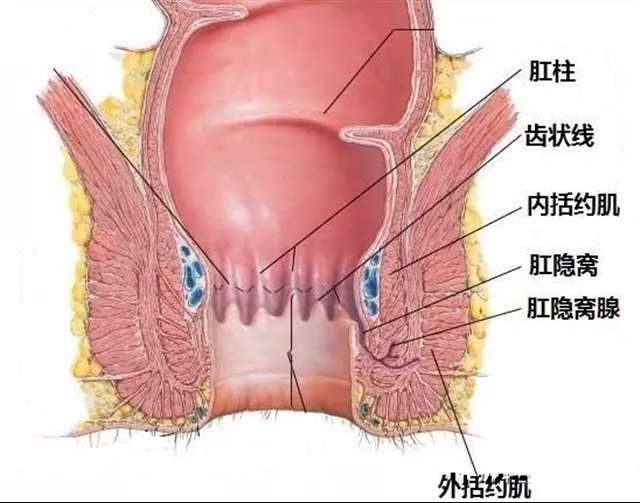 医生,不可以,疼 梁医生又在偷偷套路我