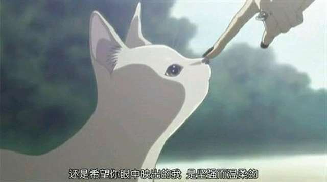 100句动漫告白台词 100句动漫经典语录