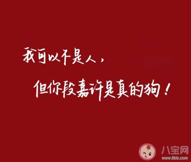 偷偷藏不住段嘉许台词