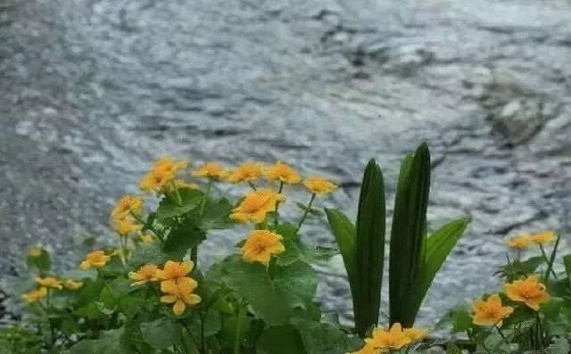 暗示自己彻底心寒失望的小句子