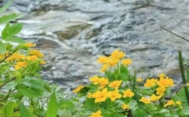 暗示自己彻底心寒失望的小句子