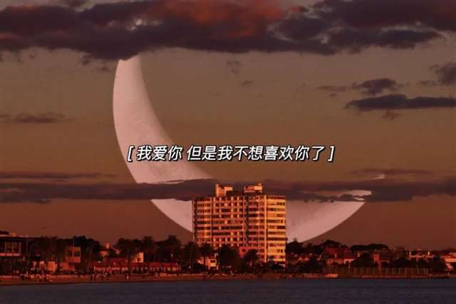 文案 | 暗示失望放弃爱而不得的句子