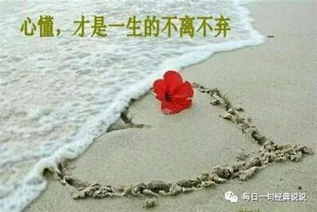 伤感经典语录20个句子,挑一个喜欢的发朋友!