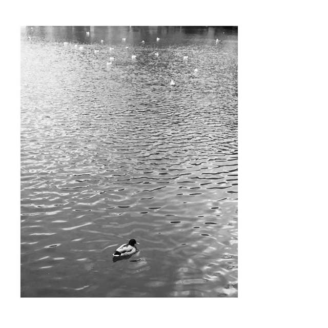 我最好的朋友是我自己.