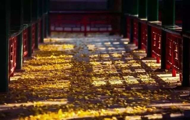 文案丨和朋友和好的句子