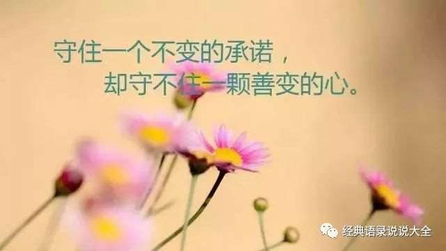 身心疲惫的说说配图,穿心入骨,句句直逼内心!