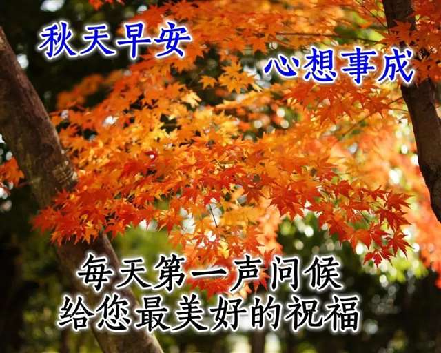 7张非常漂亮的秋天风景早安图片