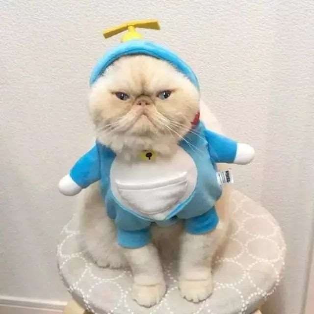 适合逗女朋友开心的说