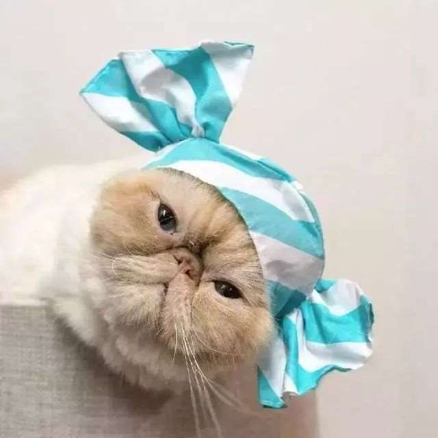 适合逗女朋友开心的说